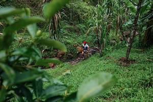 BIB: 
                            <button type="button" onclick="openModal(26200159)" class="btn btn-primary btn-sm float-right btn-popup" data-toggle="modal" data-target=".modal-high-quality">
                        <i class="fas fa-shopping-cart"></i> Add to Cart
                    </button>
                                            <button type="button" onclick="isThisMe(26200159, true)" class="btn btn-success btn-sm float-right btn-popup btn-isme hidden" data-toggle="tooltip" data-placement="bottom" title="นี่คือรูปของคุณใช่ไหม คลิกที่นี่เพื่อเอาเข้าอัลบั้ม">
                        <i class="fas fa-plus"></i> Add to album
                    </button>
                    <button type="button" onclick="isThisMe(26200159, false)" class="btn btn-warning btn-sm float-right btn-popup btn-isnotme hidden">
                        <i class="fas fa-ban"></i> Remove from album
                    </button>